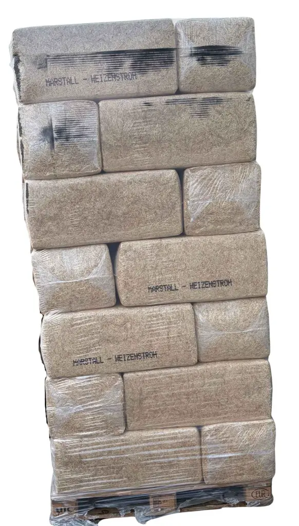 Design ohne Titel (5).webp