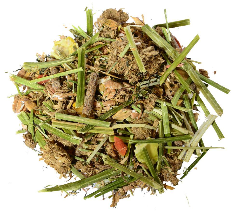 Nager+ Kaninchen Struktur