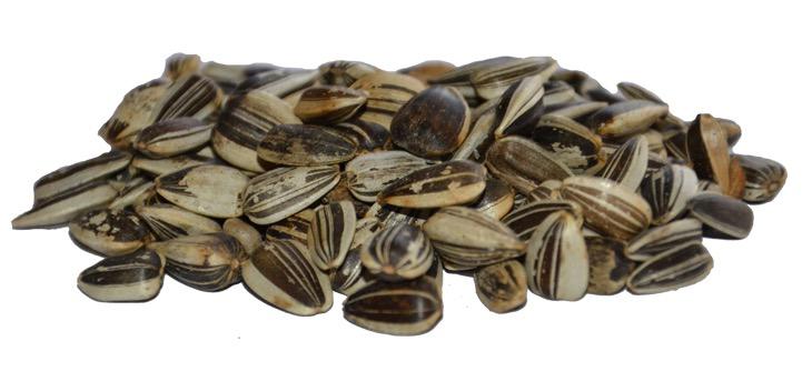 Sonnenblumenkerne ganz