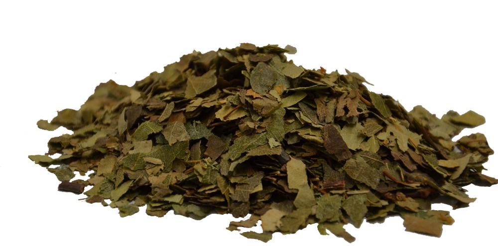 Birkenblätter geschnitten