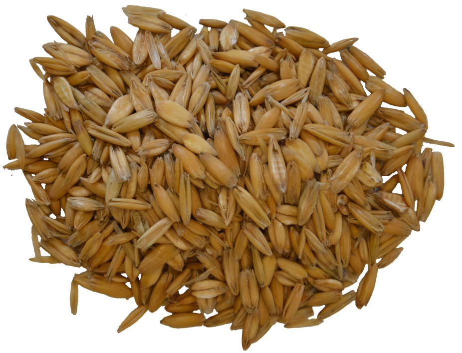 Hafer entstaubt  gewalzt