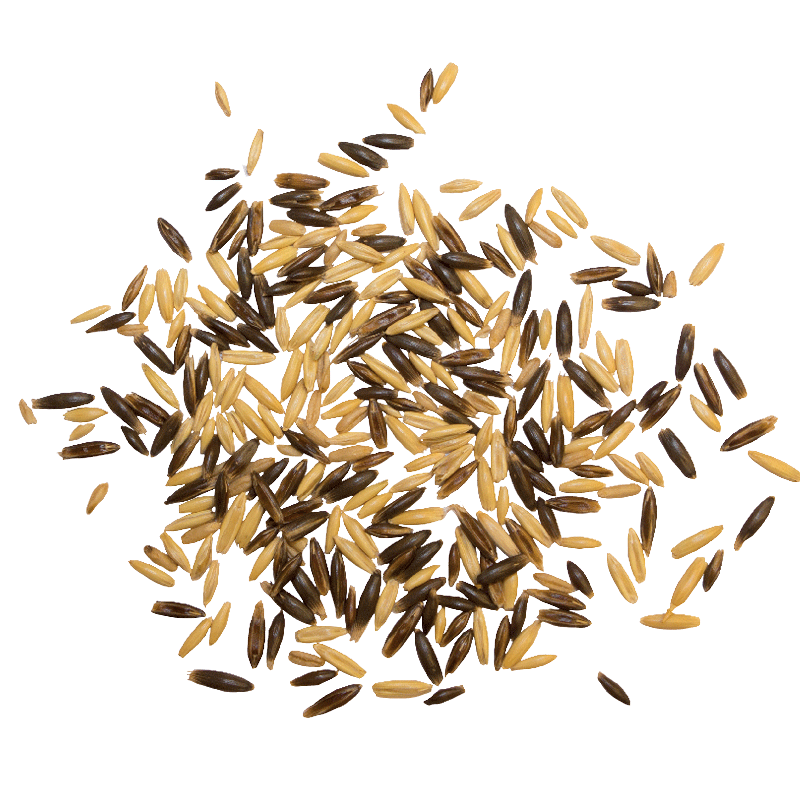 Hafer g a n z (schwarz/weiss)