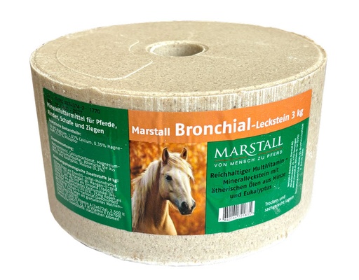 [9007084] Bronchial-Leckstein