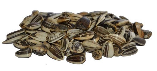 Sonnenblumenkerne ganz